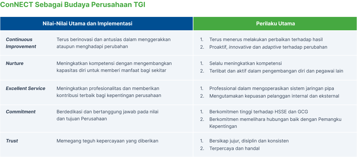 ConNECT core values and behaviours
