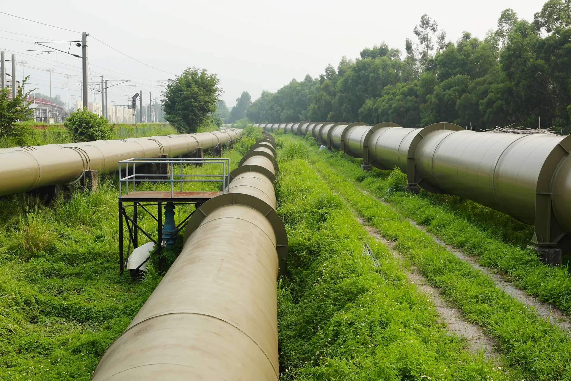 Natural gas transmission pipeline through a green corridor